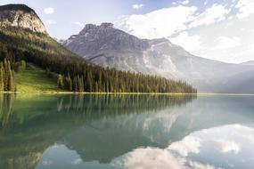 Forest by the Lake Landscape