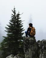 A man sitting on a rock near a tree