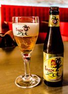 Hop beer in glass