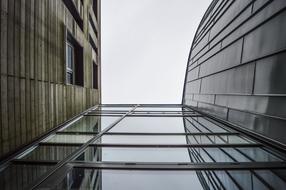 photo of the wooden and glass facade of the building, bottom view