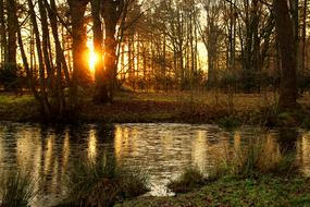 Water Sun Pond