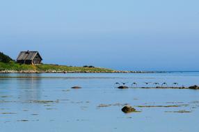 Island Solovki Anzere