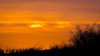 orange gorgeous sunset