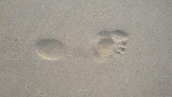 Sand Footprint Foot