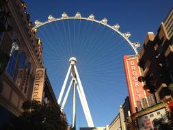 Vegas City Architecture
