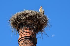 Stork Nest and blue sky