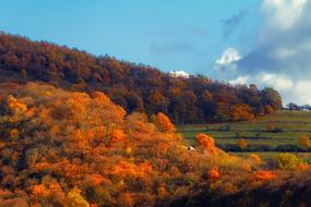 Autumn scenic landscape