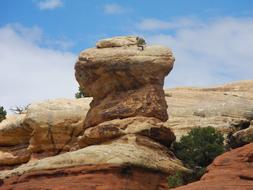 Rock Canyon Country In Utah