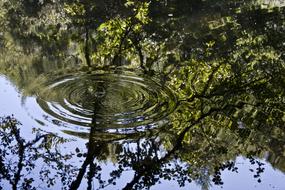 Lake Reflection Wave