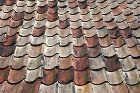 old Dirty Pattern Roof