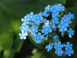 Bloom Blossom Bright