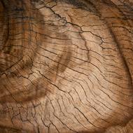 Brown wooden backdrop with different shades