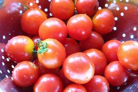 fresh tomatoes wet