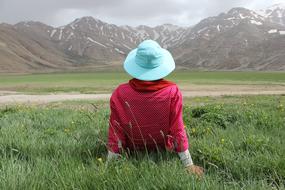 Countryside Field Grass