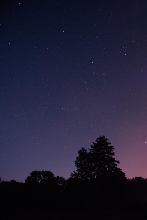 Nature Night Silhouette
