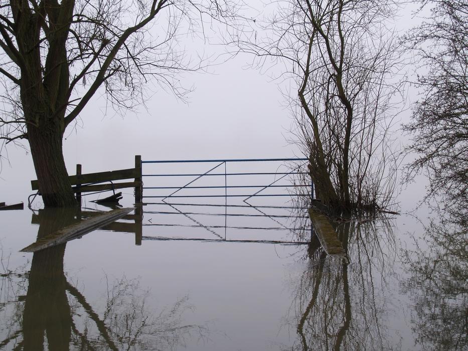 Flood Misty Farm