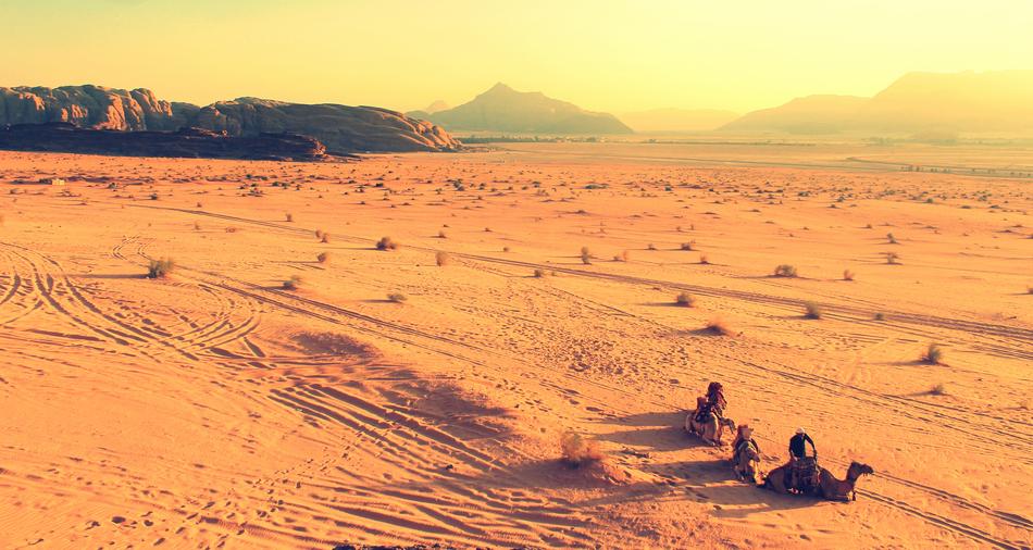 Africa Camels Desert
