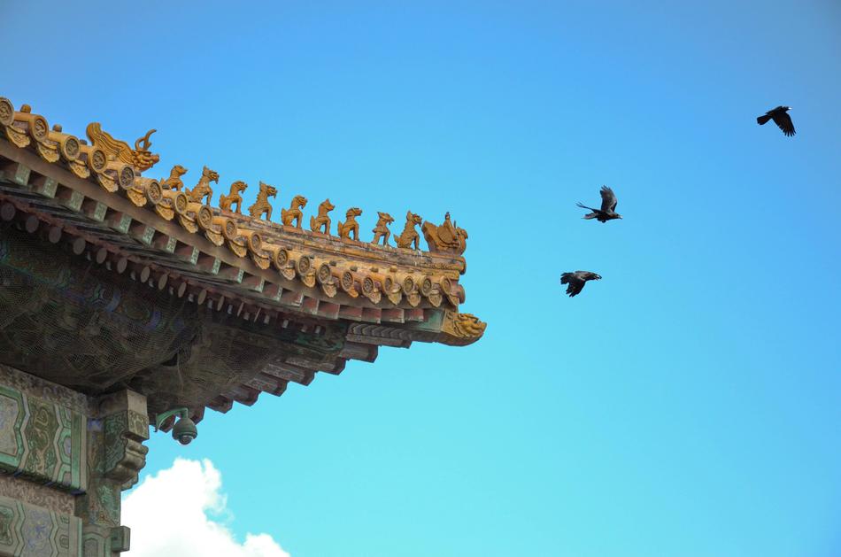 The National Palace Museum and Eaves birds