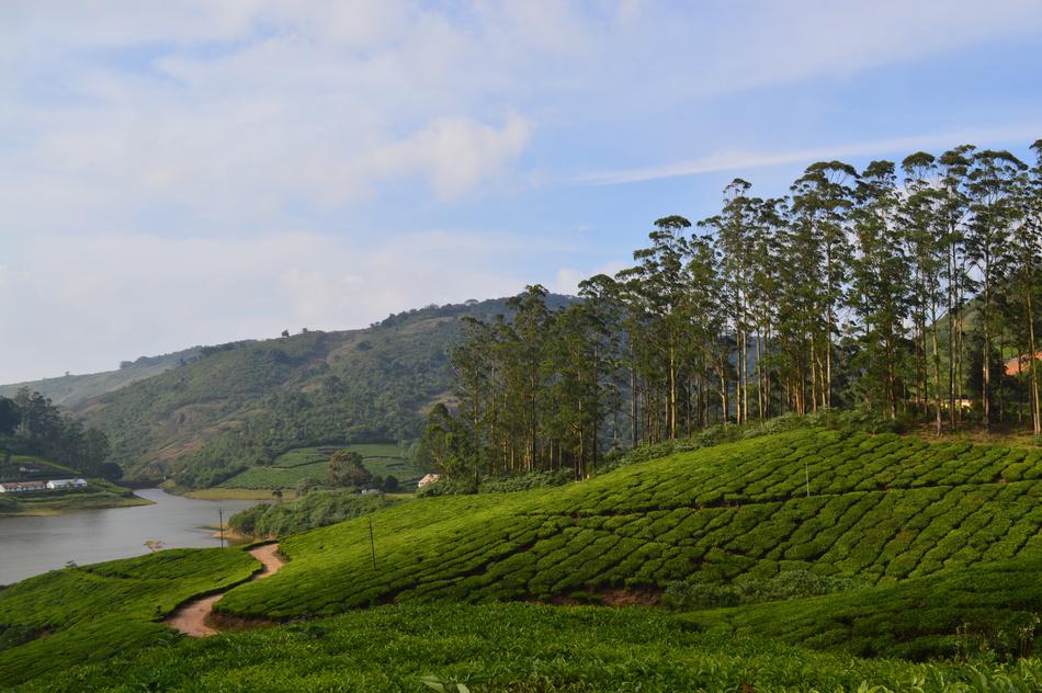Meghamalai Hills Theni Hill