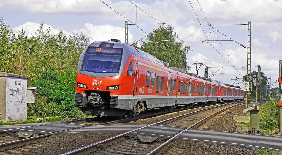 fast train in the forest