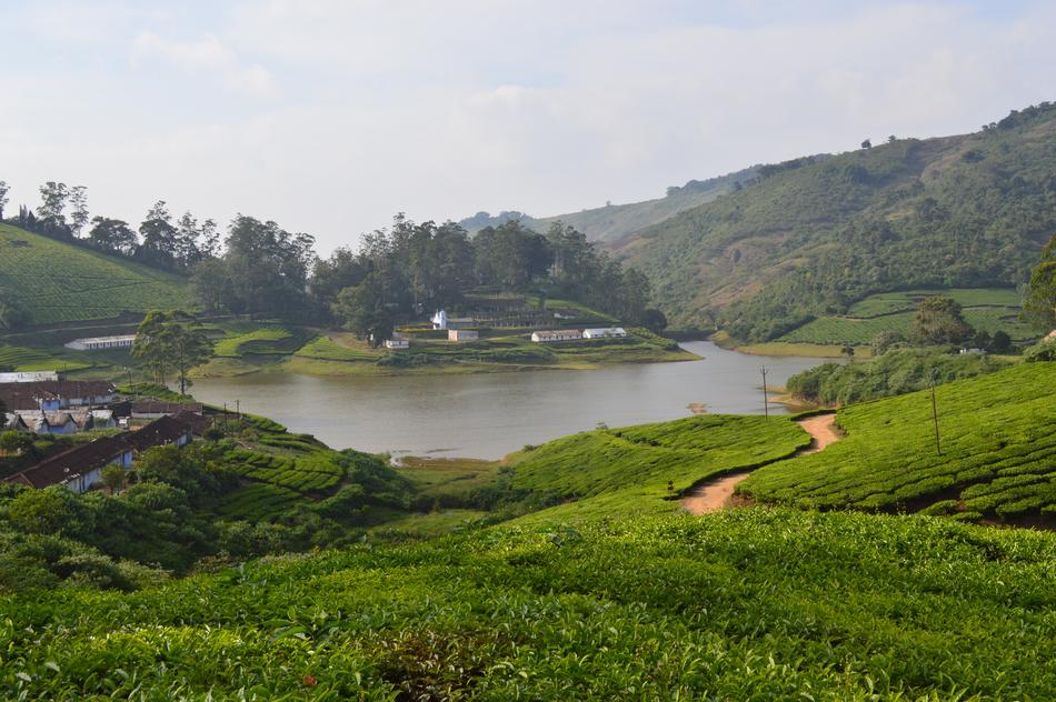 Meghamalai Hills Theni Hill