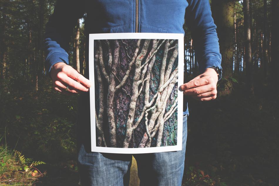 Forest picture in Hands
