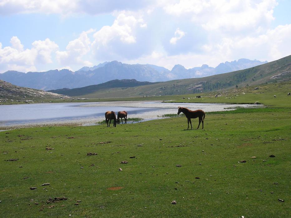 Lake Corsican Mountain
