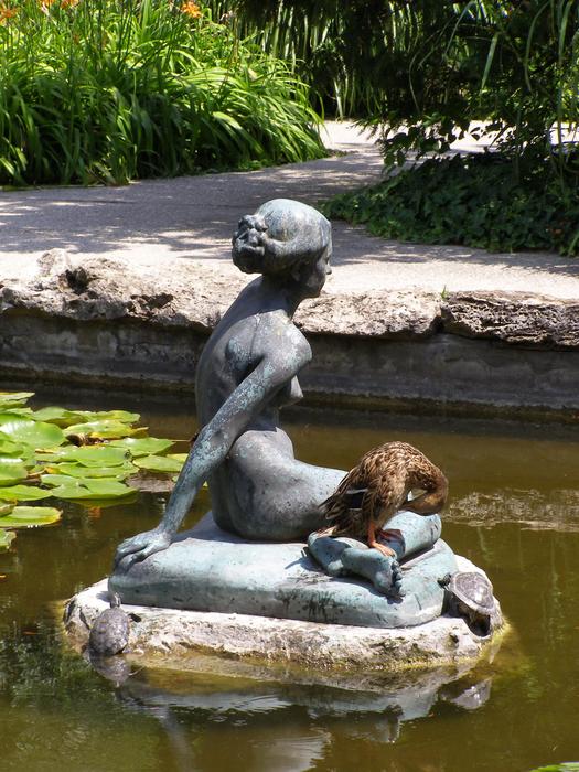 Sculpture Water Duck