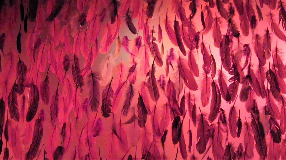 Feathers Feather Background Wall drawing