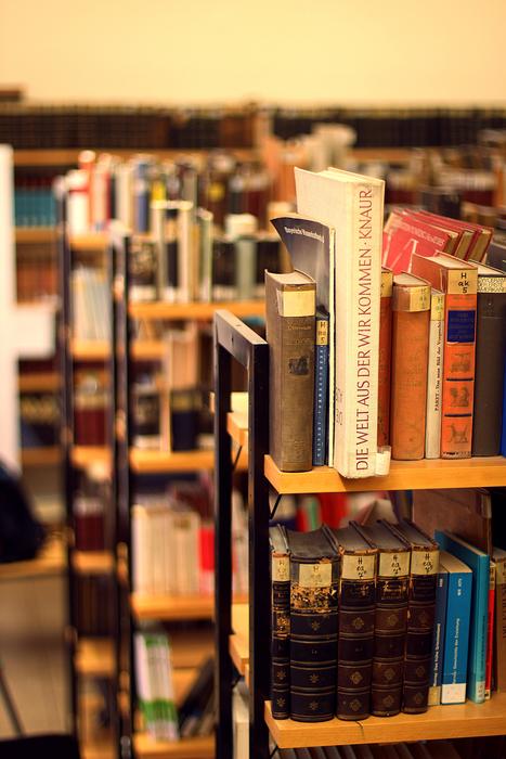 books on shelves in library in blurred background