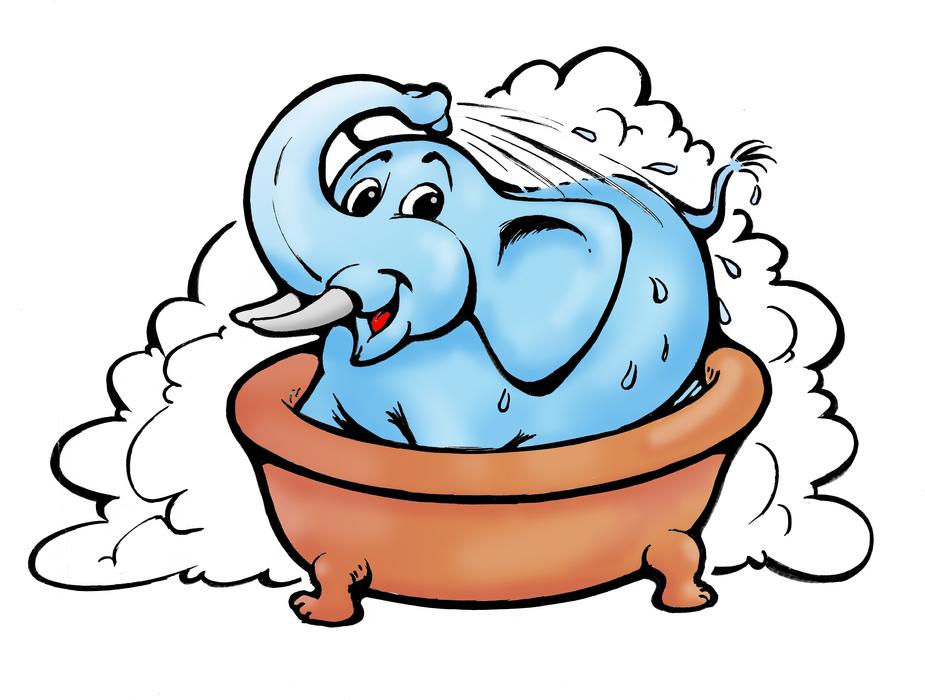 elephant bad shower