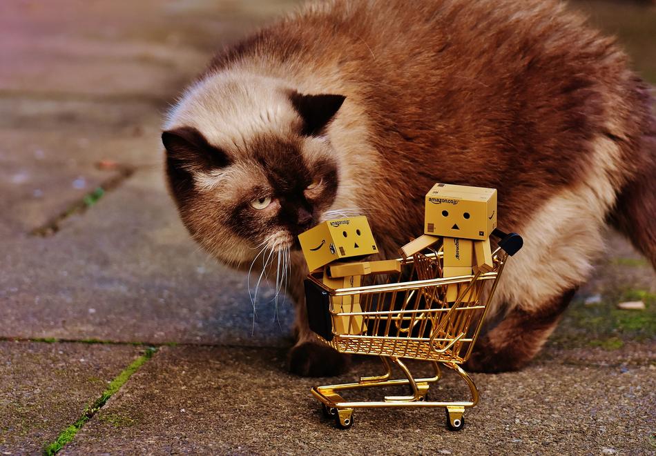 cat and Shopping Cart