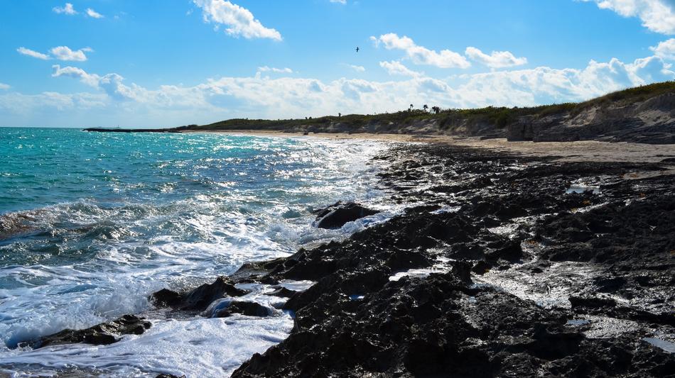 sea wave with wet beach panorama
