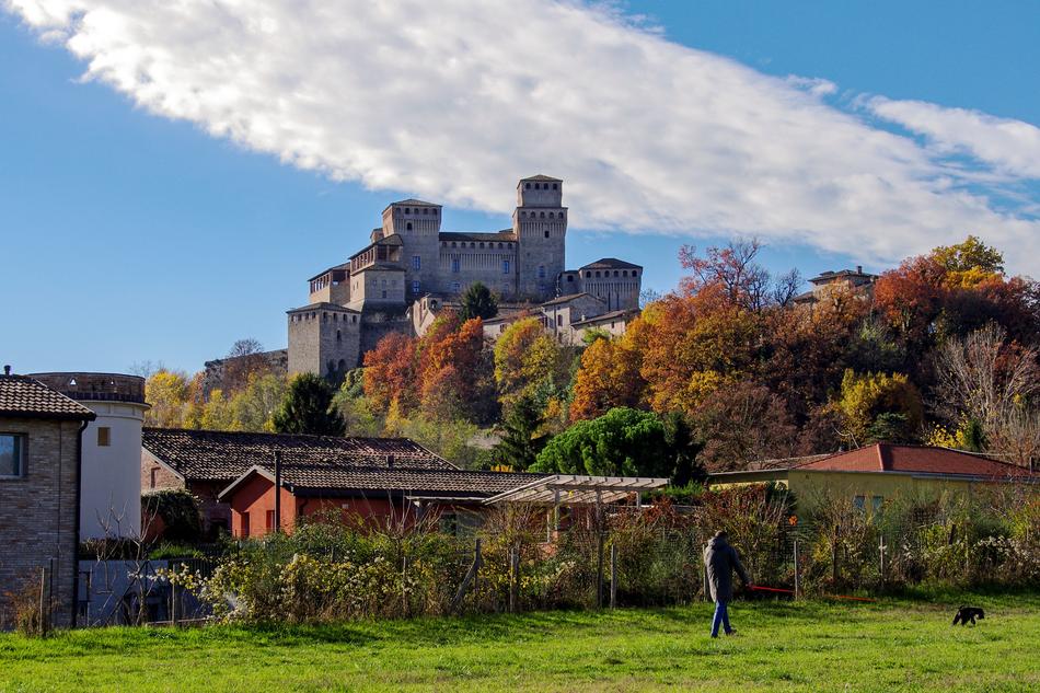 autumn forest with a castle