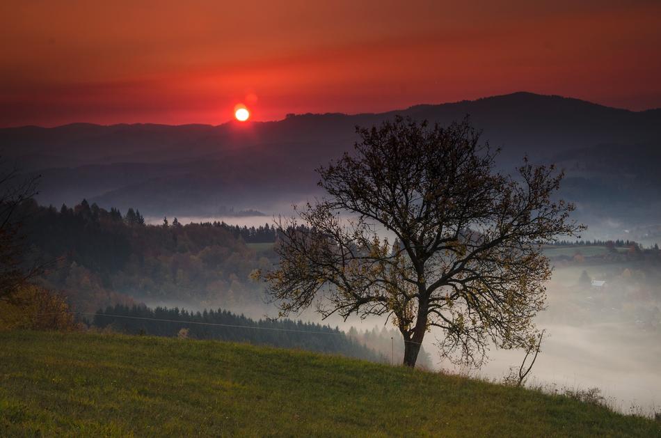 Autumn Landscape Sunrise