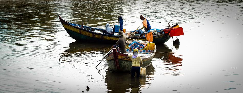 Life The Sea Vietnam