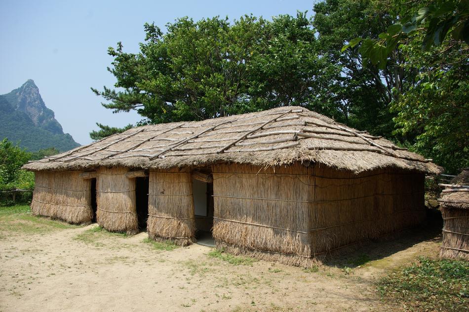 rice straw house