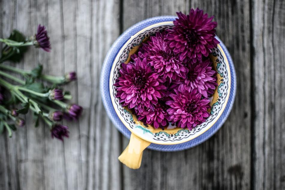 Bloom Blossom Decoration