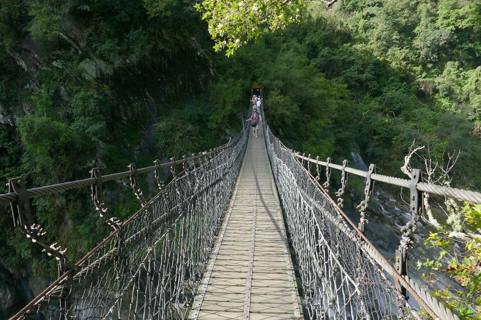 Taiwan nature bridge