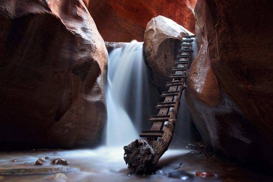 Branch Cave Ladder