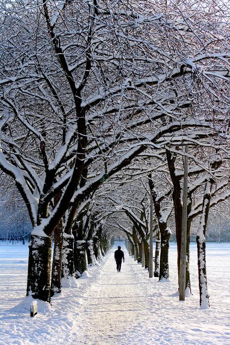 Alone Avenue Cold