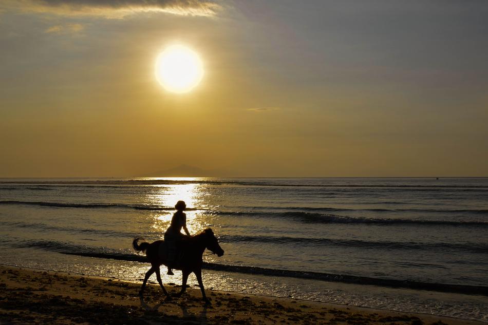 silhouette of a horse with a man by the sea