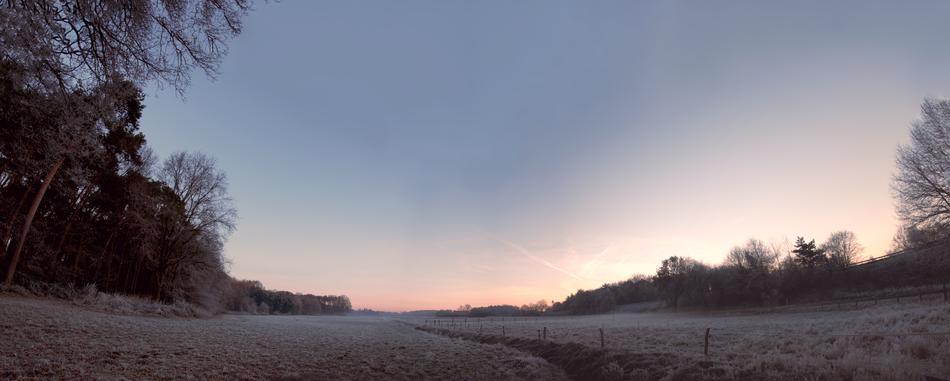 Meadow Sunrise Cold
