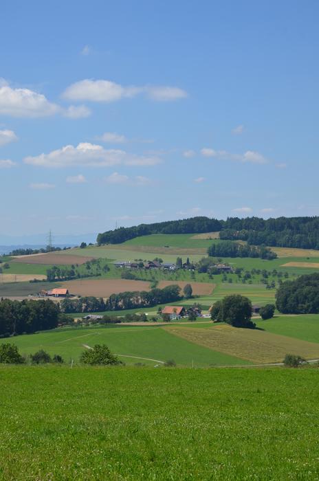 Michels Office Beromunster Nature