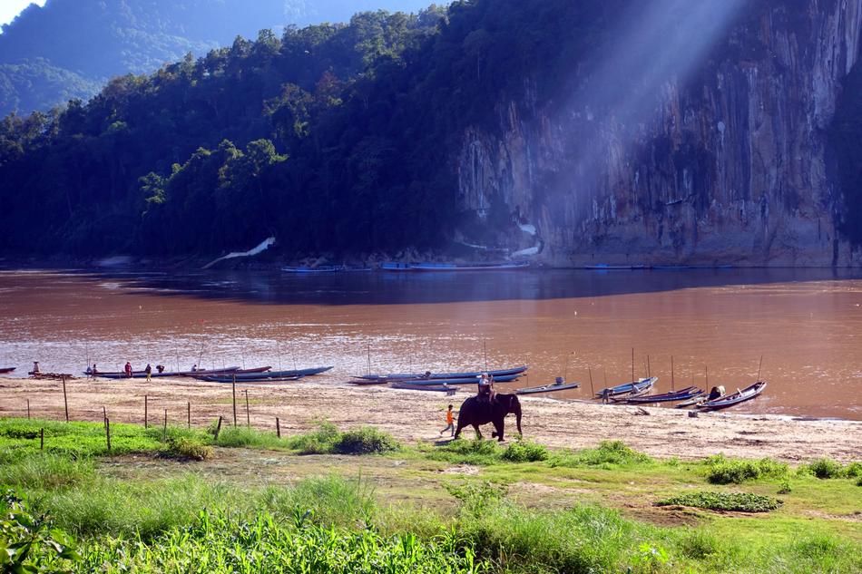 elephant on the bank of the mekong river, Asia