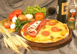 pizza with vegetables and spices