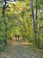 Park Fall