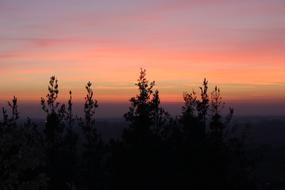 Nature Sun Landscape