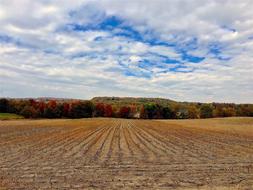 Field Fall Colors