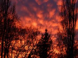 Afterglow Sunset Evening Sky